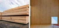 Деревянные кросс-клееные панели: инновация от Structurlam фото