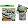 FOMAPOR -     ,     